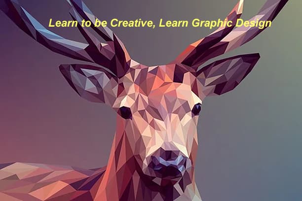 How To Choose The Best Graphics Design Training School In Abuja, Nigeria